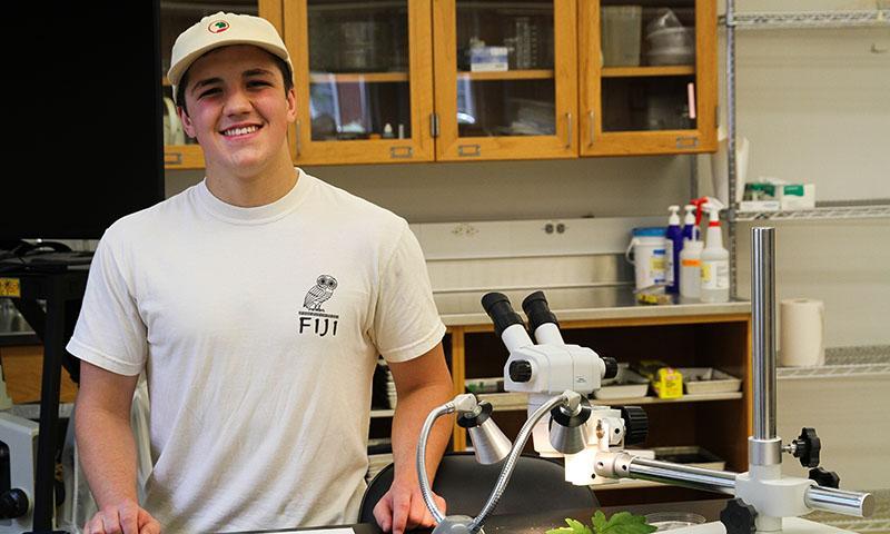 Evan Dickey '26 spent his internship making botanical illustrations